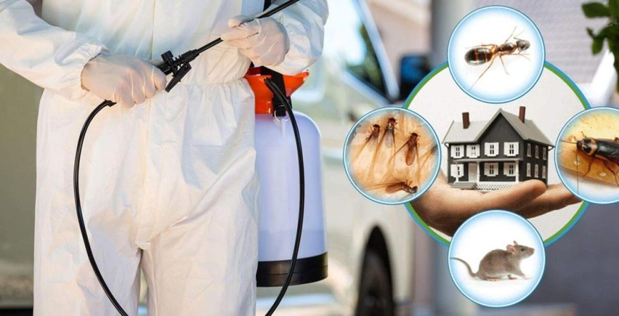 Karesi Böcek İlaçlama