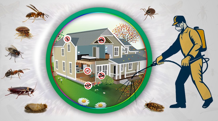 Karesi Böcek İlaçlama