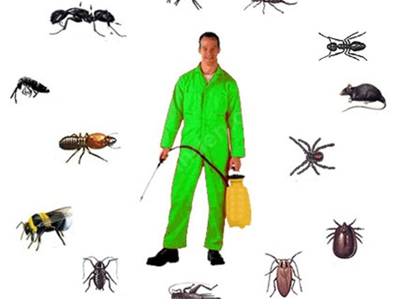 Karesi Böcek İlaçlama