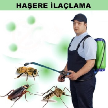 Karesi Böcek İlaçlama